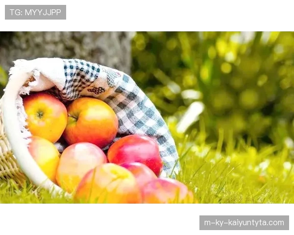 禁区规则的判罚要点与常见误区解析