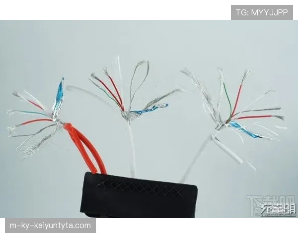 规则拆解型：门线判定标准详解，如何准确识别全球过门线？